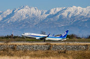 JA67AN - ANA - All Nippon Airways Boeing 737-800 aircraft