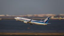 JA71AN - ANA - All Nippon Airways Boeing 737-800 aircraft