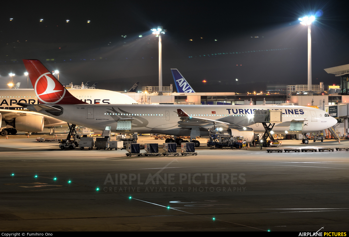 Turkish Airlines TC-JOD aircraft at Tokyo - Narita Intl