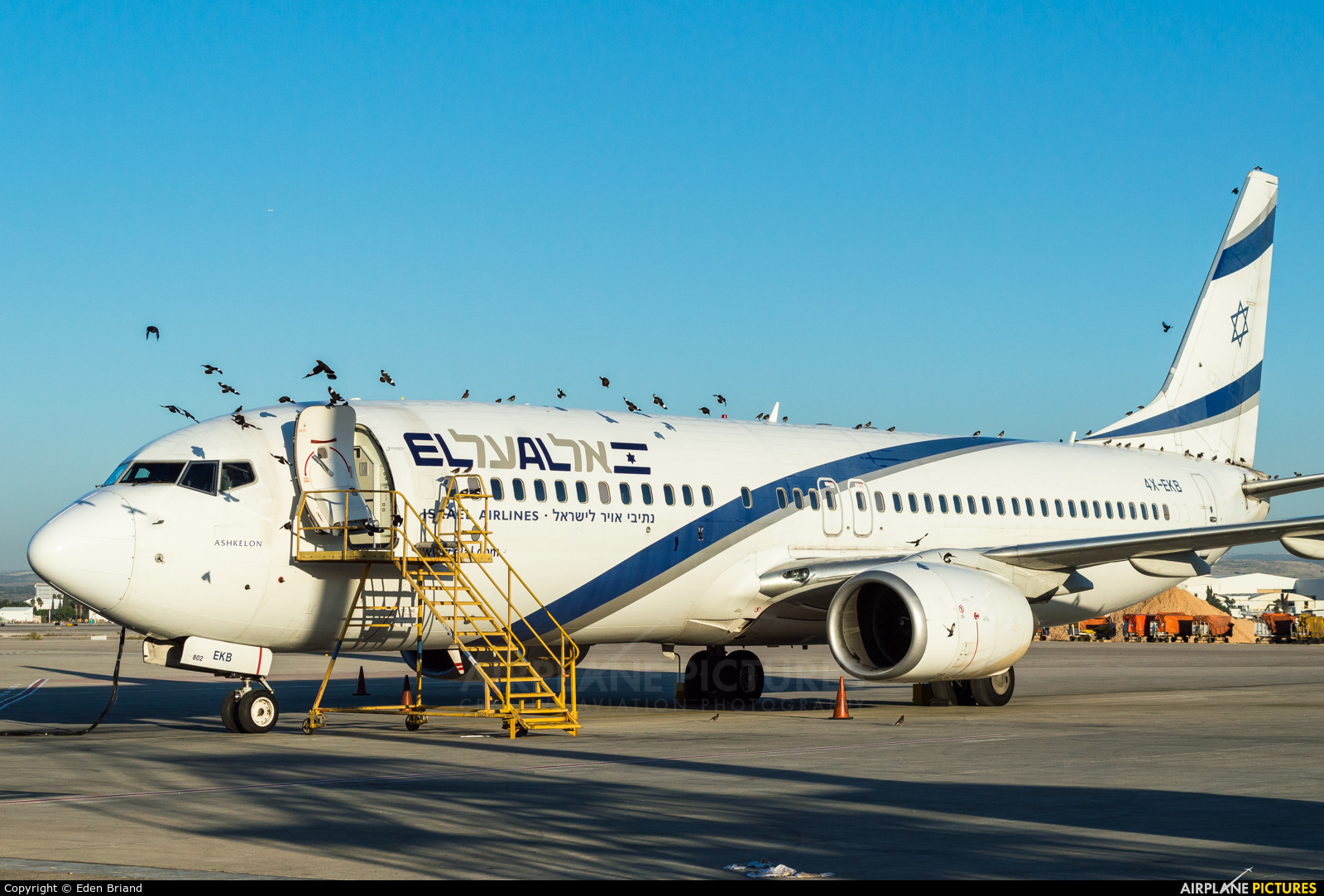 4X EKB El Al Israel Airlines Boeing 737 800 at Tel Aviv Ben Gurion