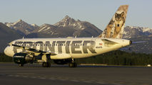 N941FR - Frontier Airlines Airbus A319 aircraft