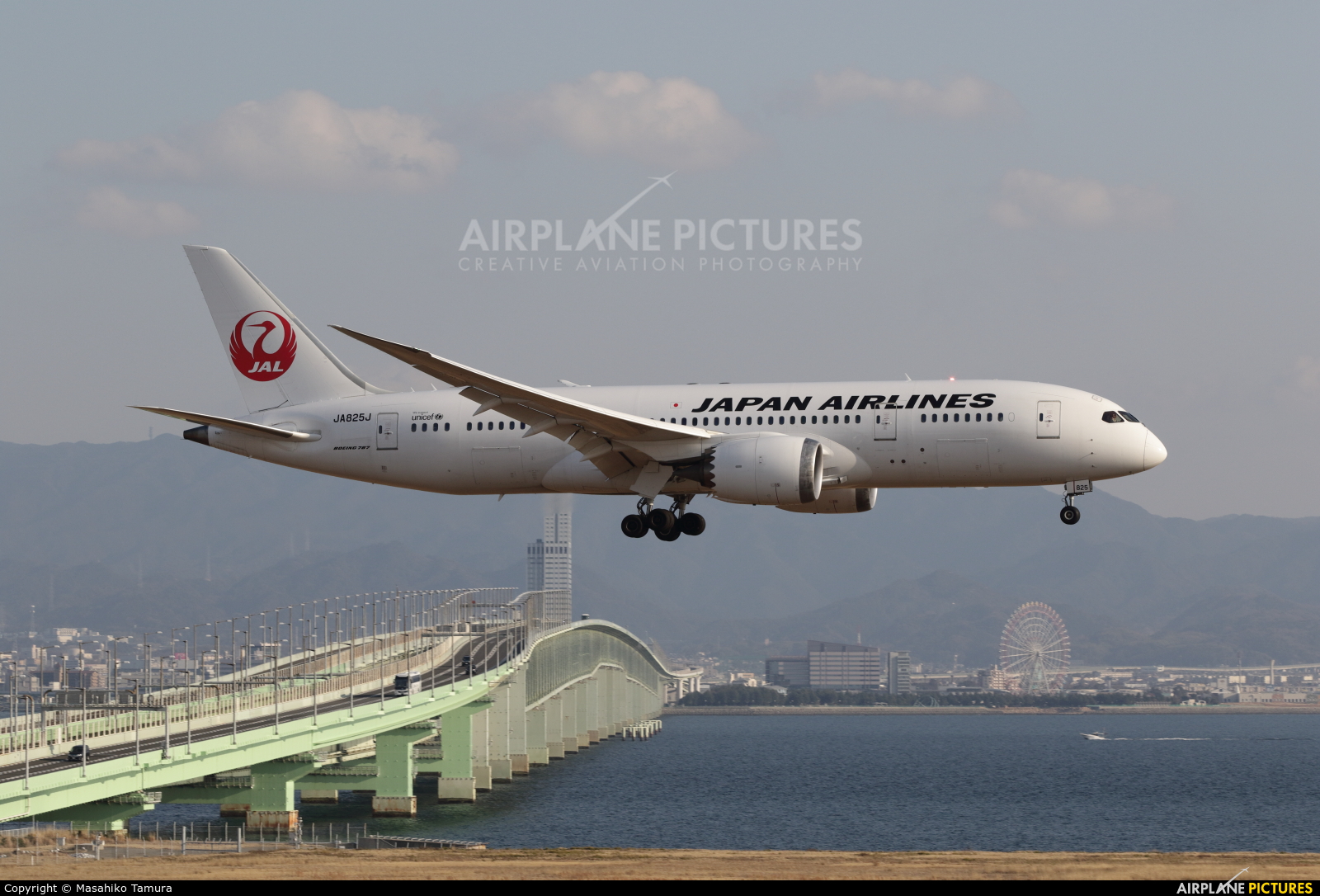 JAL - Japan Airlines JA825J aircraft at Kansai Intl