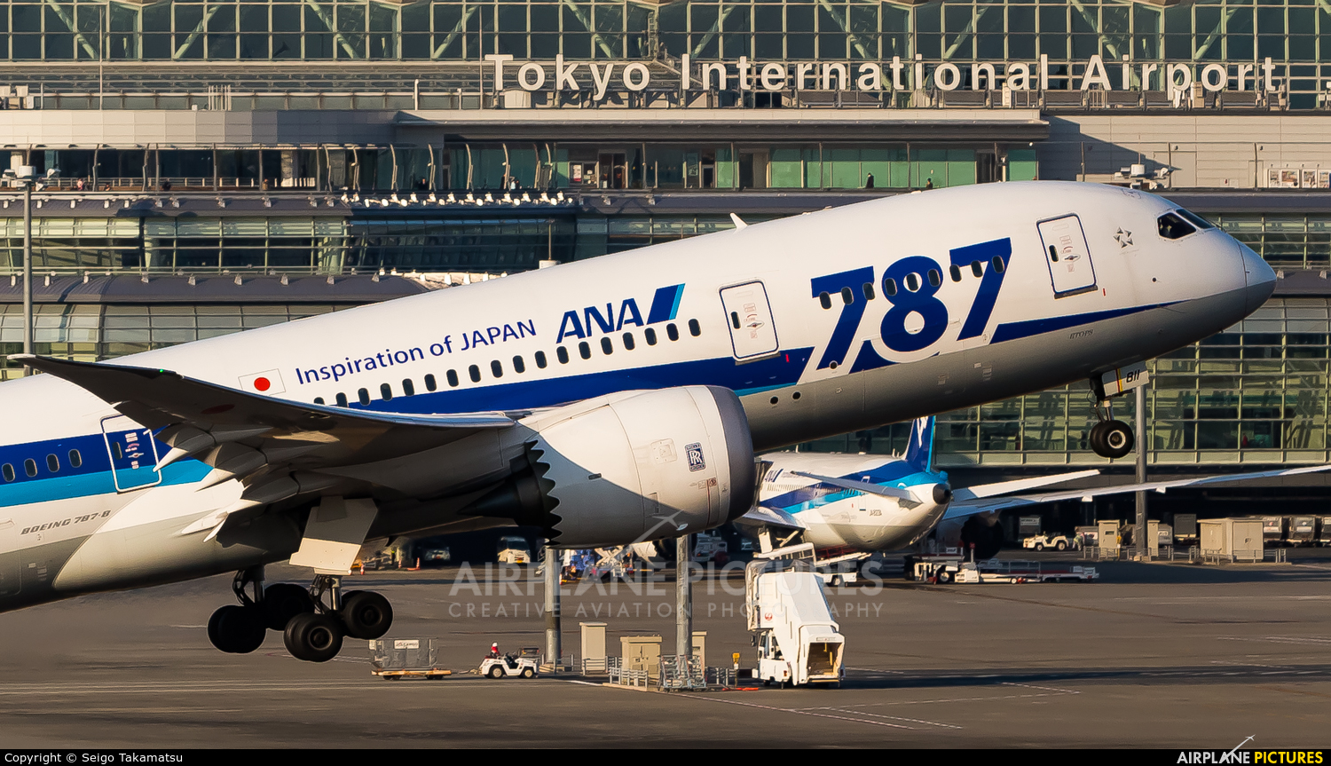 ANA - All Nippon Airways JA811A aircraft at Tokyo - Haneda Intl