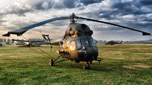 7336 - Poland - Army Mil Mi-2 aircraft