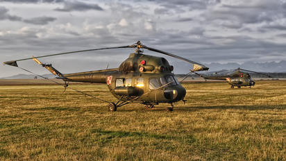 5244 - Poland - Army Mil Mi-2