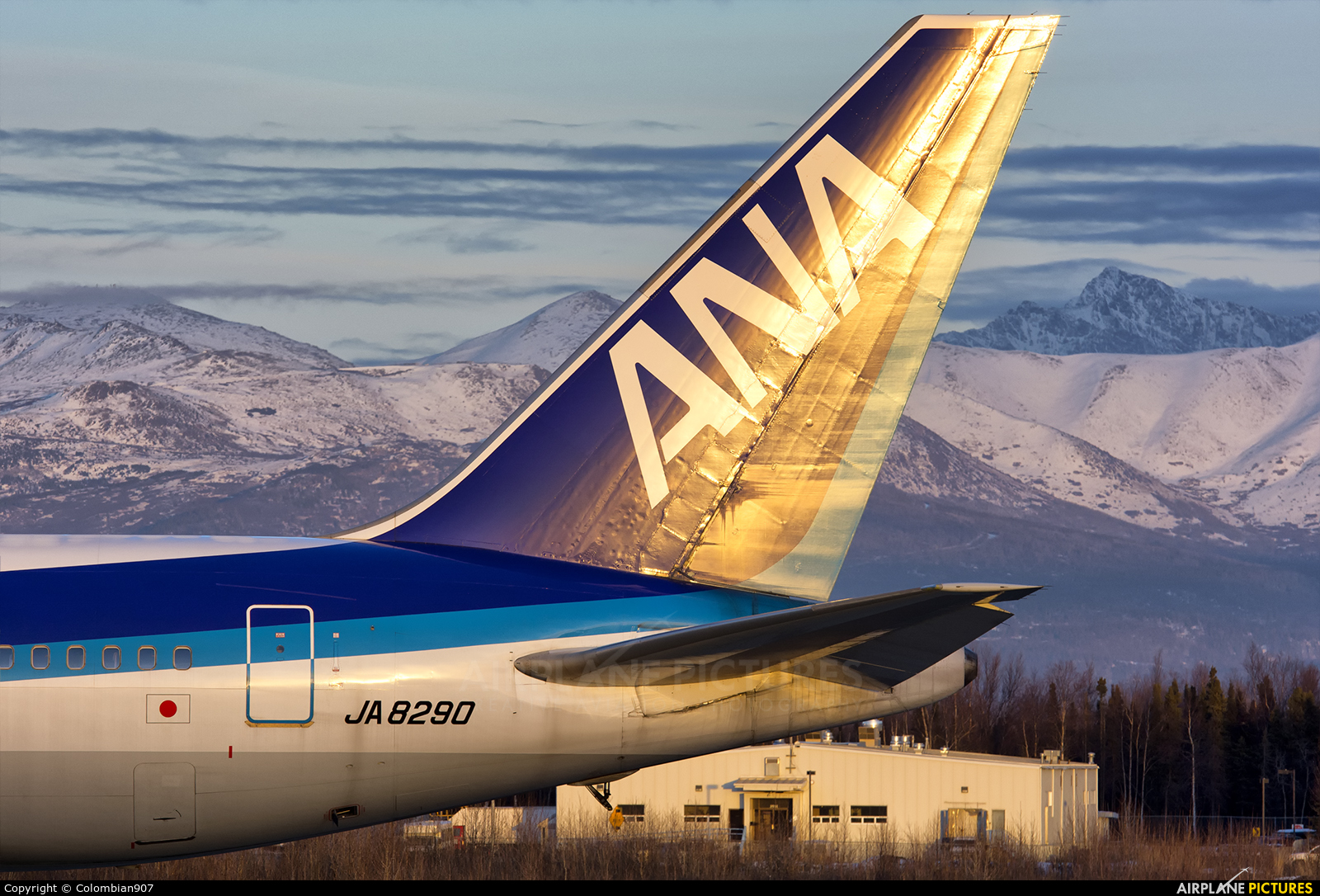 ANA - All Nippon Airways JA8290 aircraft at Anchorage - Ted Stevens Intl / Kulis Air National Guard Base