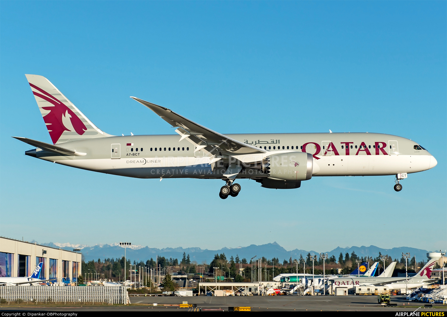 Qatar Airways A7-BCT aircraft at Everett - Snohomish County / Paine Field