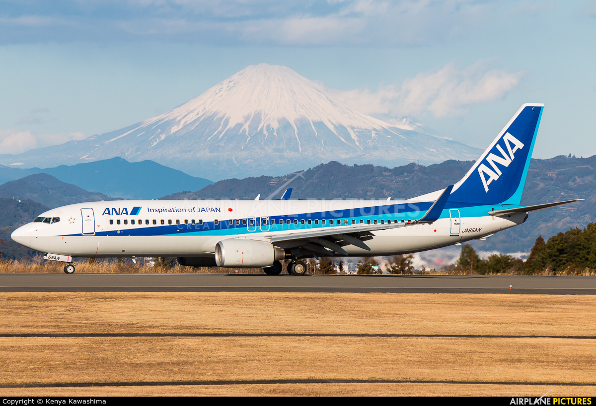 ANA - All Nippon Airways JA65AN aircraft at Shizuoka