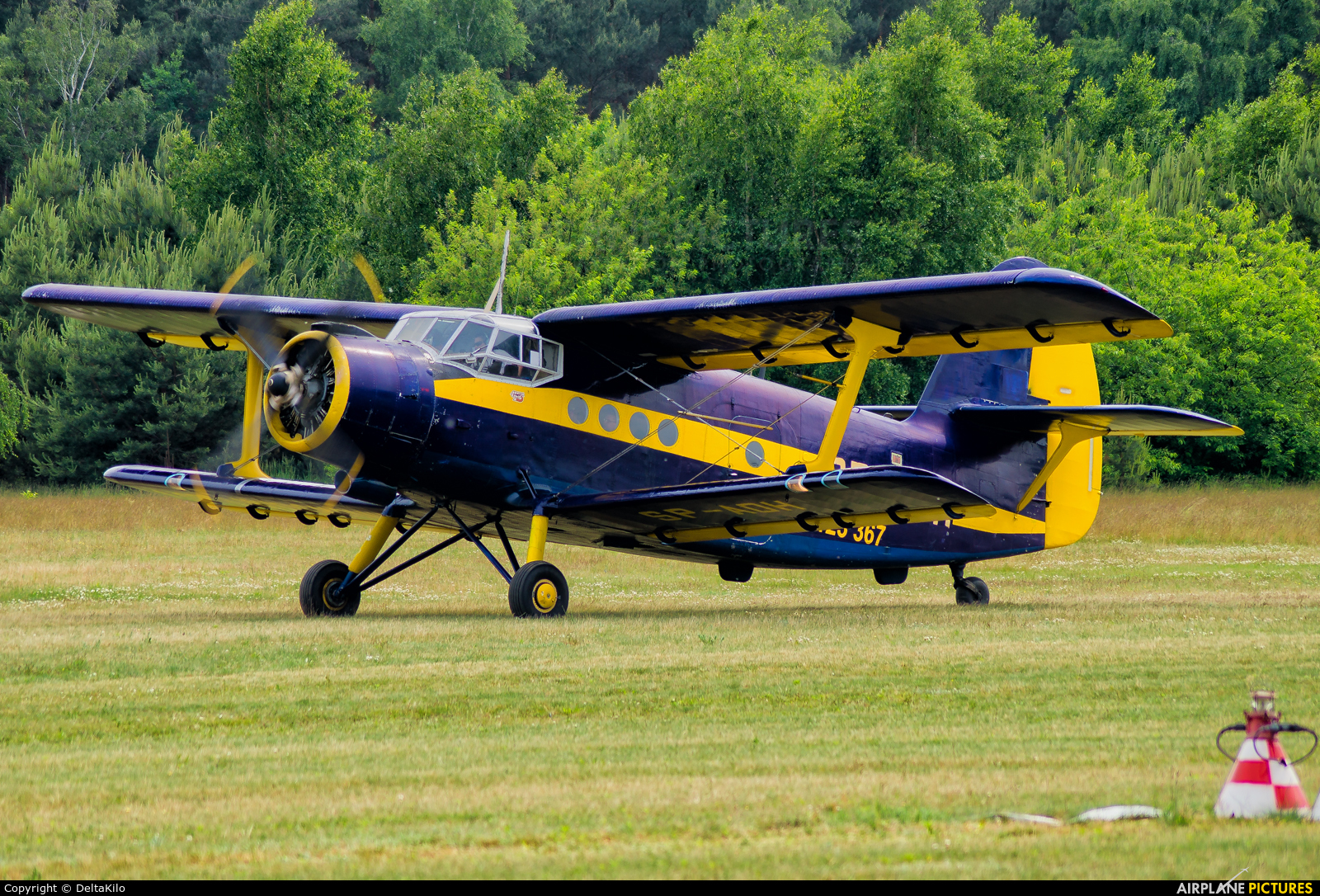 Aeroklub Ziemi Lubuskiej SP-AOH aircraft at Poznań - Kobylnica