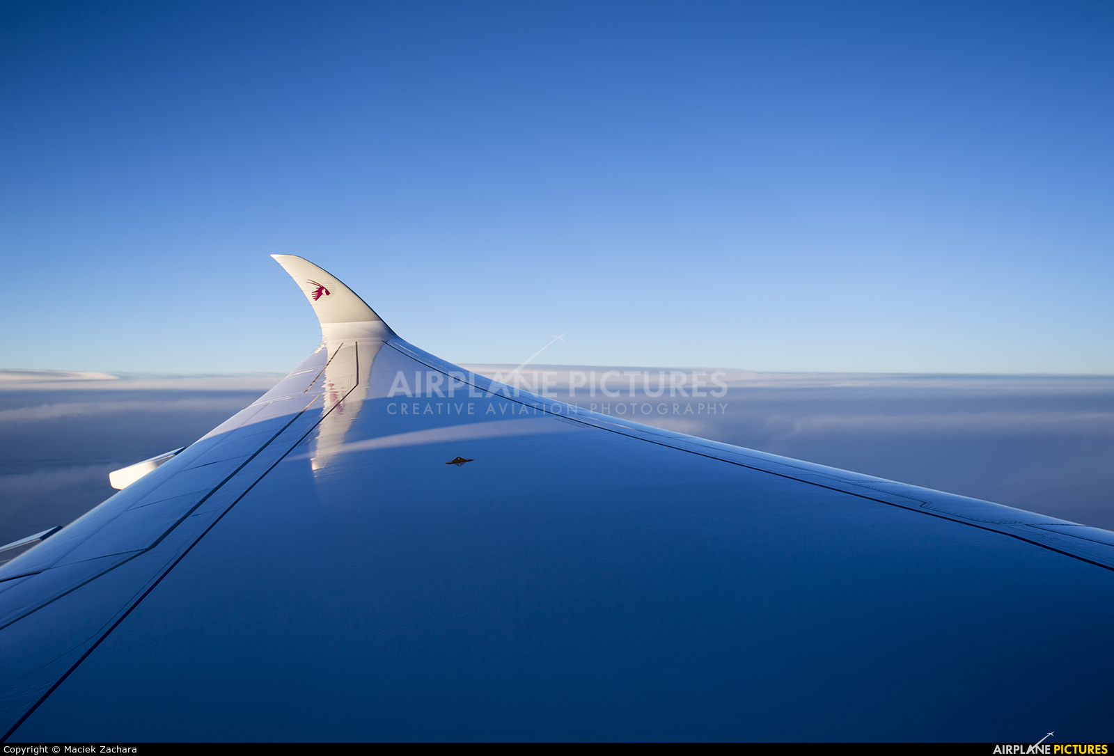 Qatar Airways A7-ALA aircraft at In Flight - Germany