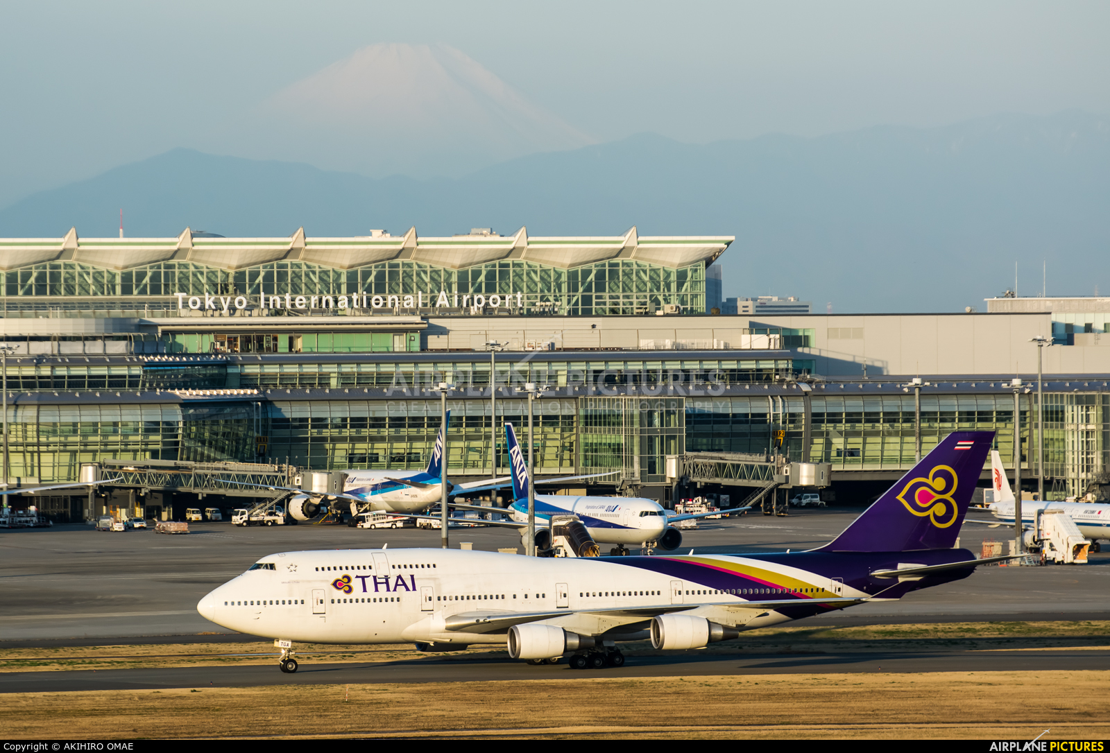 Thai Airways HS-TGA aircraft at Tokyo - Haneda Intl