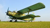 SP-ALI - Aeroklub Wroclawski Antonov An-2 aircraft