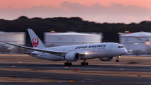 JA822J - JAL - Japan Airlines Boeing 787-8 Dreamliner aircraft