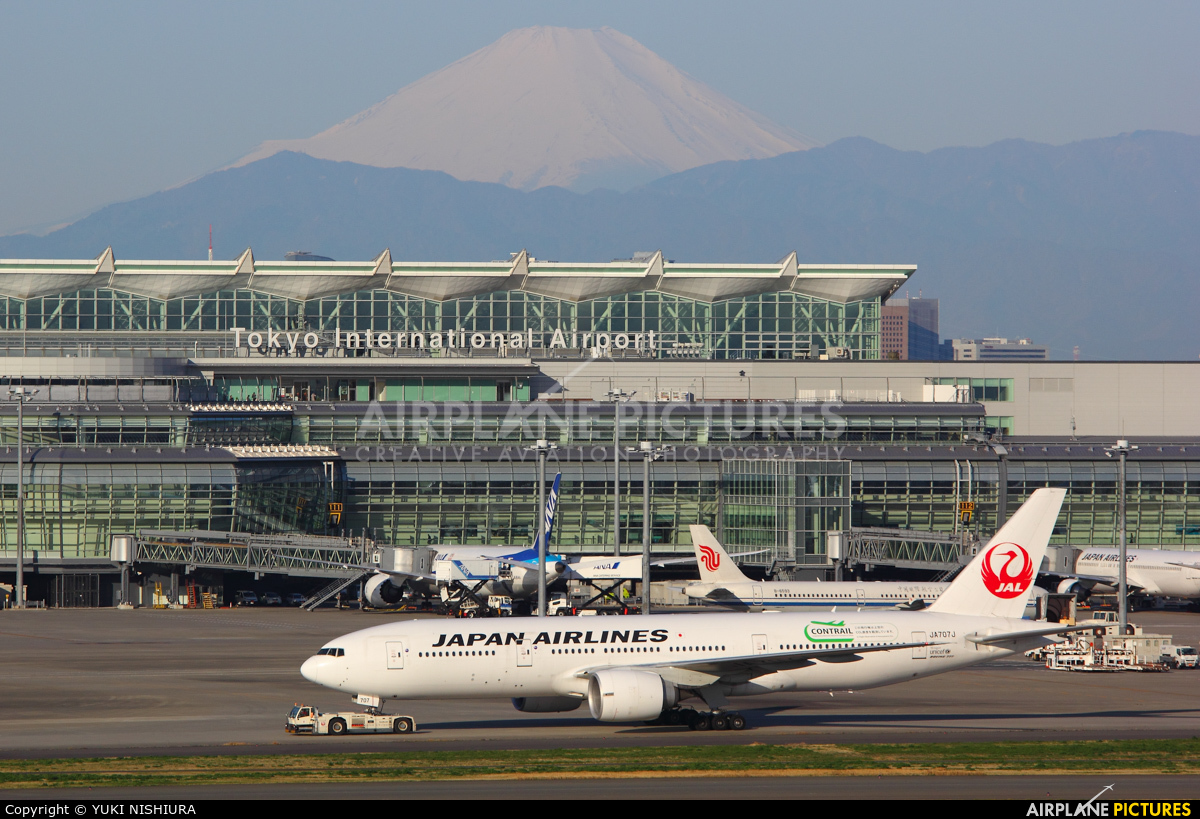 JAL - Japan Airlines JA707J aircraft at Tokyo - Haneda Intl
