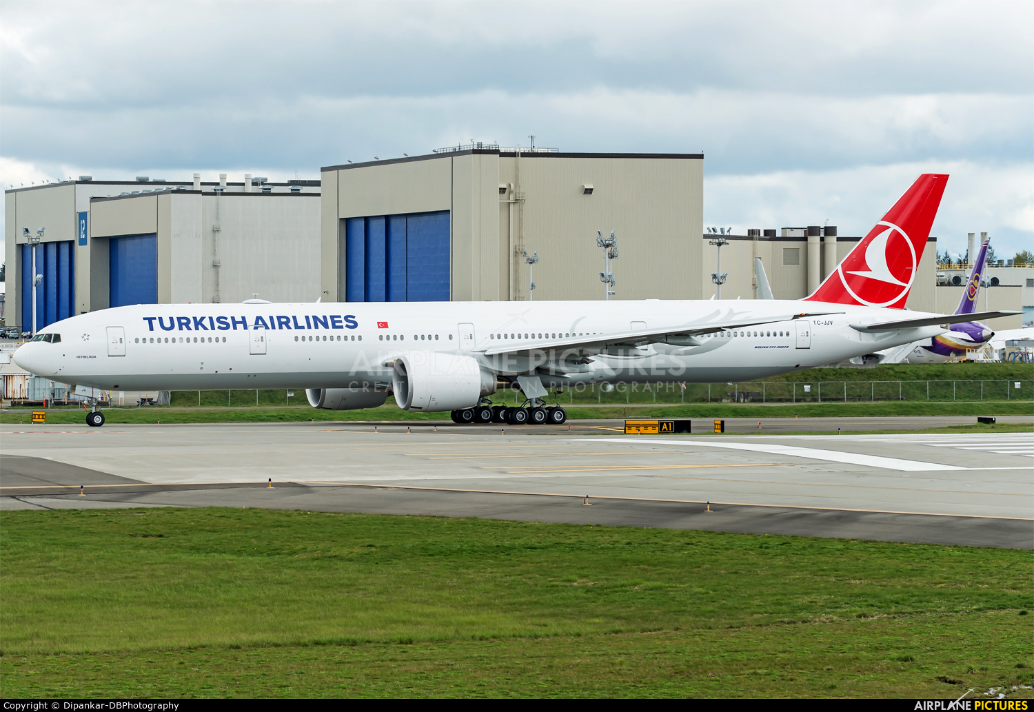 Turkish Airlines TC-JJV aircraft at Everett - Snohomish County / Paine Field