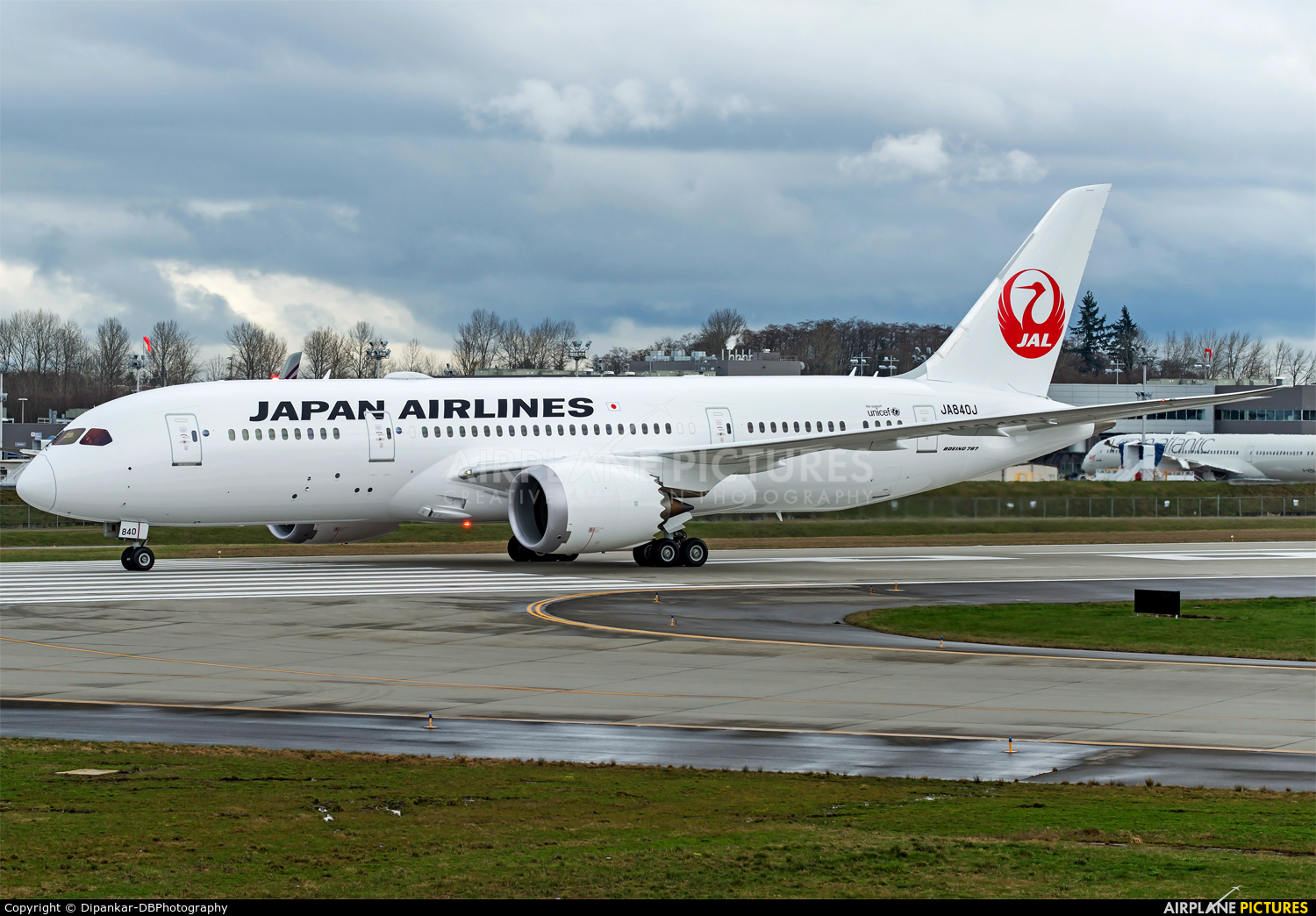 JAL - Japan Airlines JA840J aircraft at Everett - Snohomish County / Paine Field