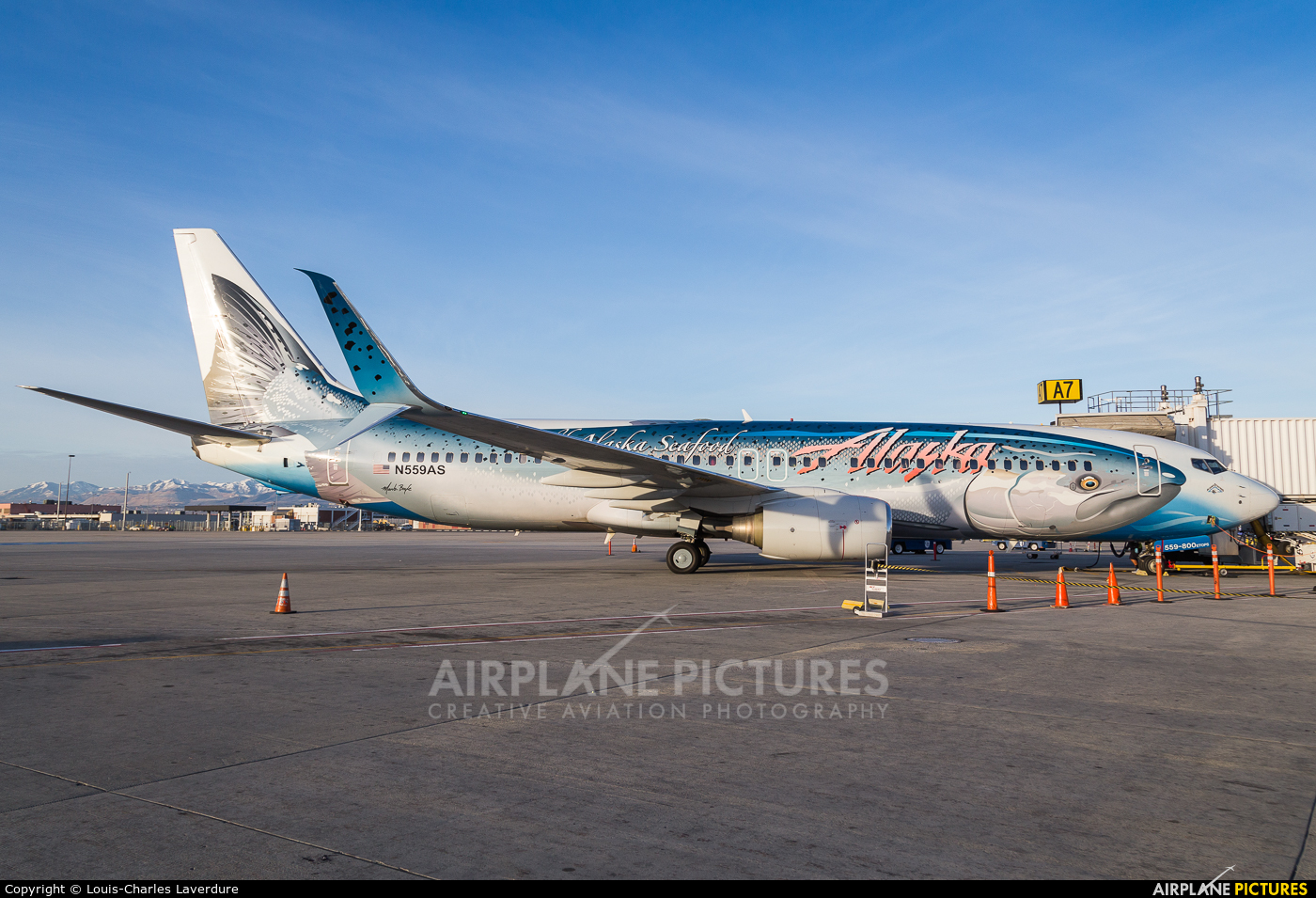 Alaska Airlines N559AS aircraft at Salt Lake City