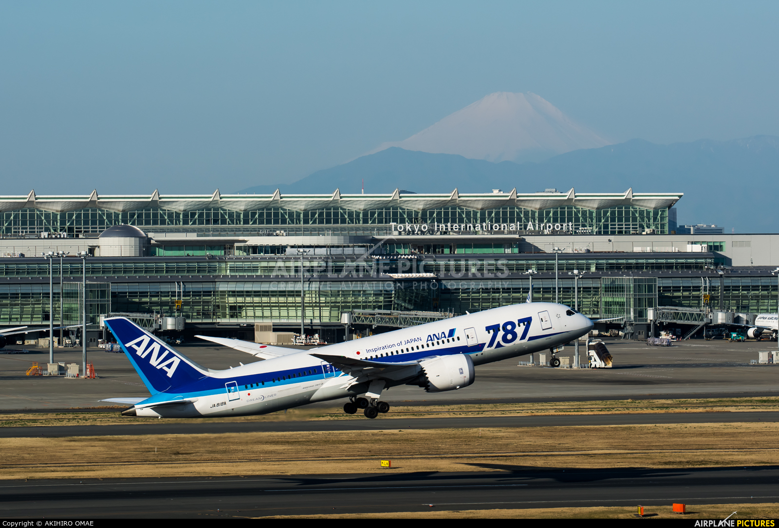 ANA - All Nippon Airways JA818A aircraft at Tokyo - Narita Intl