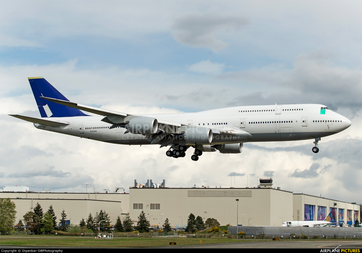 Boeing Company N828BA aircraft at Everett - Snohomish County / Paine Field
