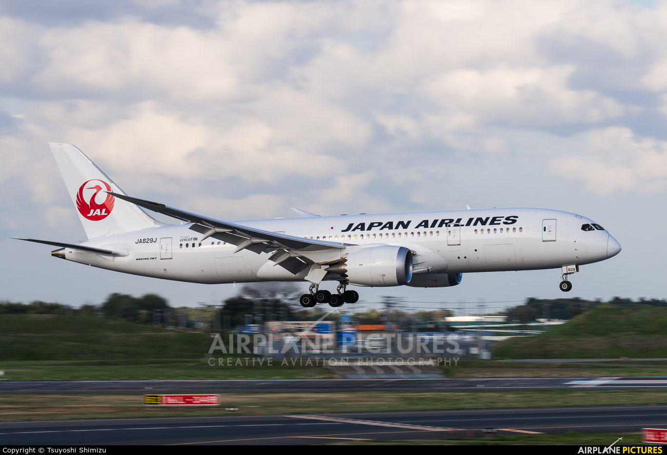 JAL - Japan Airlines JA829J aircraft at Tokyo - Narita Intl