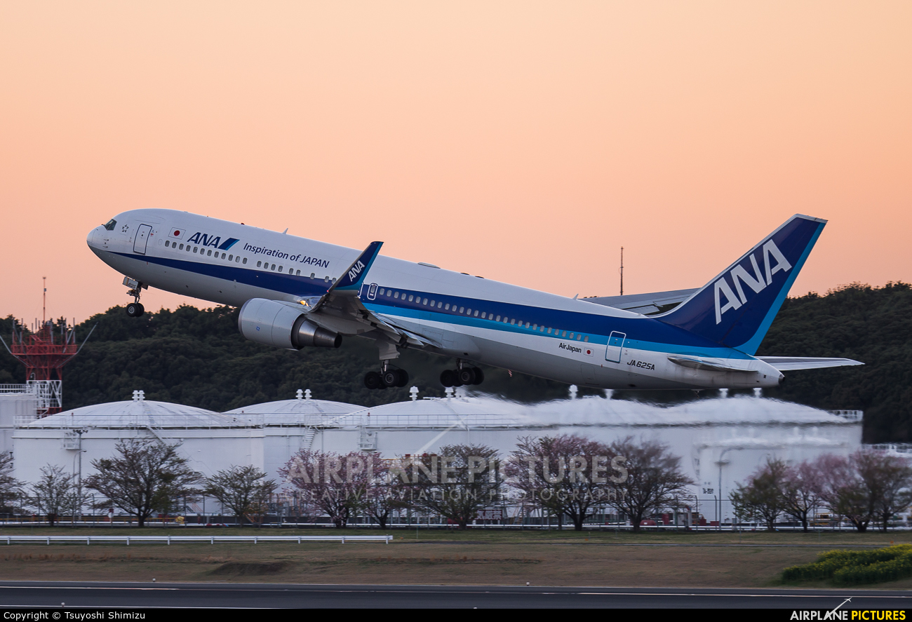 ANA - All Nippon Airways JA625A aircraft at Tokyo - Narita Intl