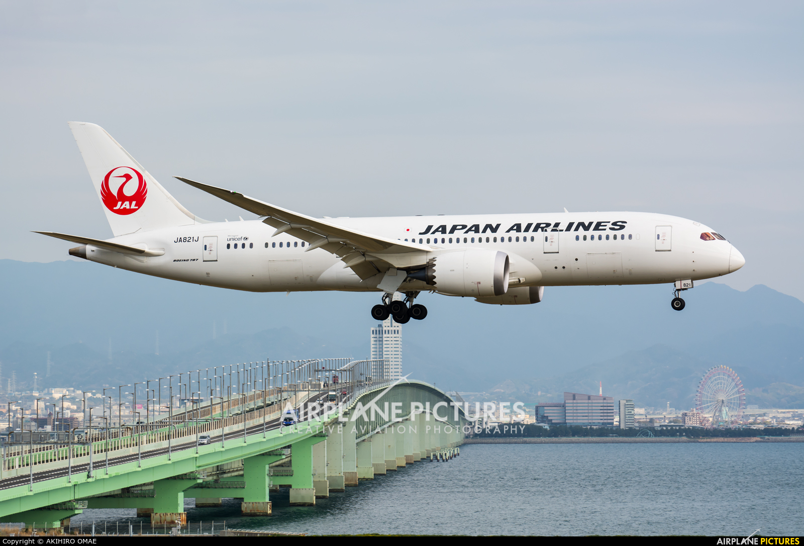 JAL - Japan Airlines JA821J aircraft at Kansai Intl