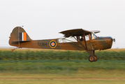 ZS-VWP - Private Auster AOP.5 aircraft