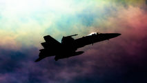 - - Finland - Air Force McDonnell Douglas F-18C Hornet aircraft