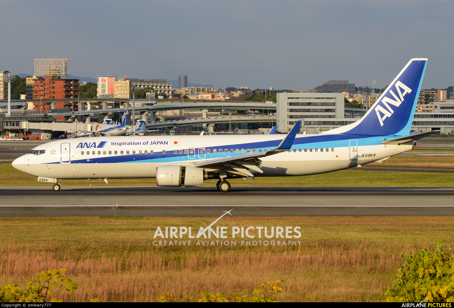 ANA - All Nippon Airways JA59AN aircraft at Osaka - Itami Intl
