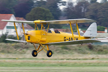 G-ANEM - Private de Havilland DH. 82 Tiger Moth