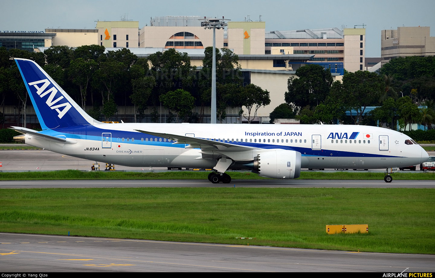 ANA - All Nippon Airways JA834A aircraft at Singapore - Changi