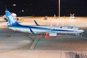 ANA - All Nippon Airways JA55AN image