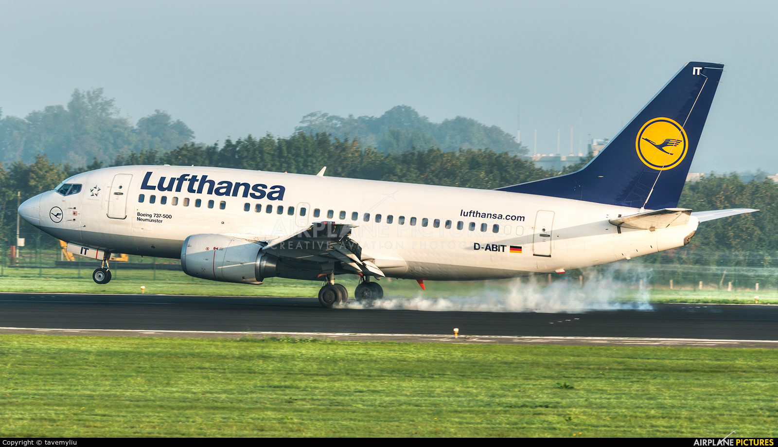 Lufthansa D-ABIT aircraft at Brussels - Zaventem