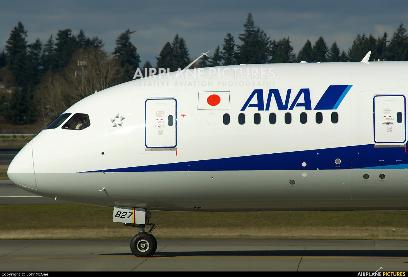 ANA - All Nippon Airways JA827A aircraft at Seattle-Tacoma Intl
