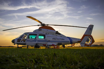 PA-42 - Argentina - Coast Guard Eurocopter EC155 Dauphin (all models)