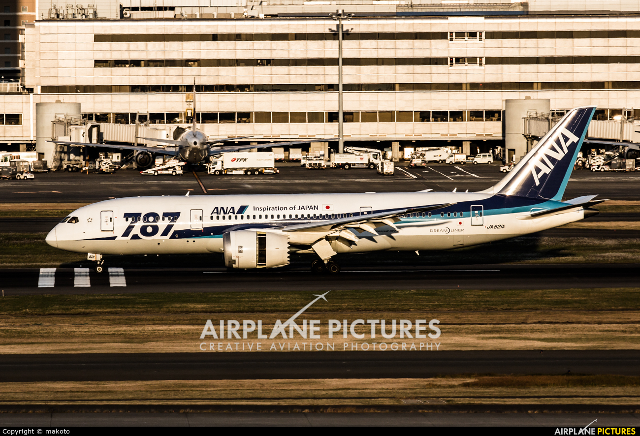 ANA - All Nippon Airways JA821A aircraft at Tokyo - Haneda Intl