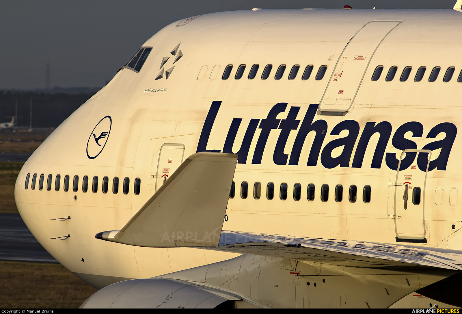 Lufthansa D-ABVN aircraft at Frankfurt
