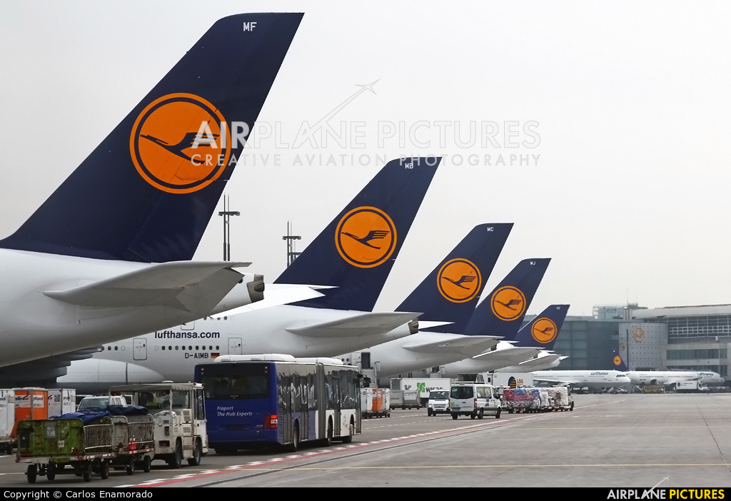 Lufthansa D-AIMF aircraft at Frankfurt
