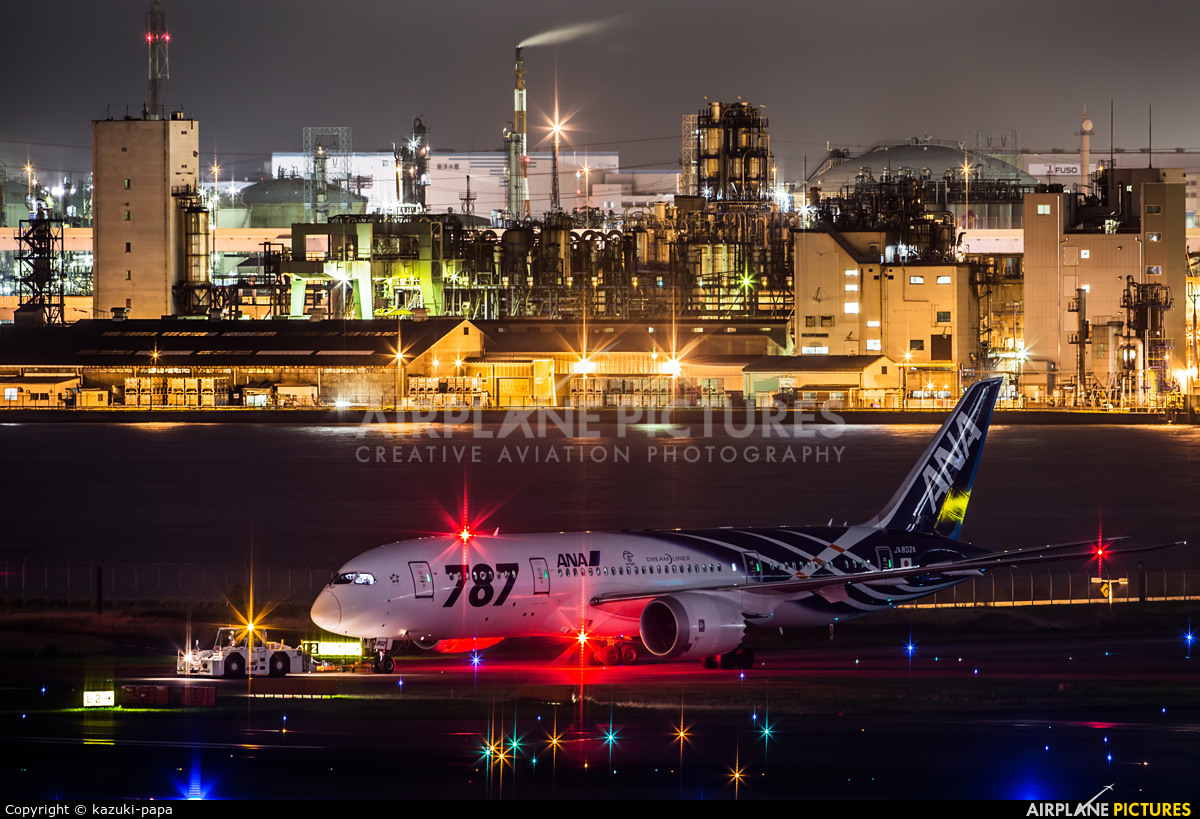 ANA - All Nippon Airways JA802A aircraft at Tokyo - Haneda Intl