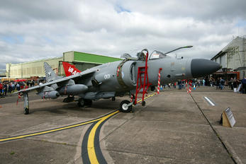 ZH796 - Royal Navy British Aerospace Sea Harrier FA.2