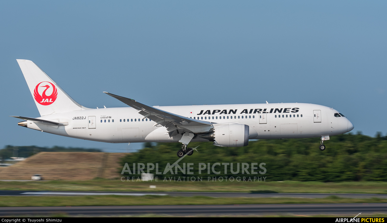 JAL - Japan Airlines JA822J aircraft at Tokyo - Narita Intl