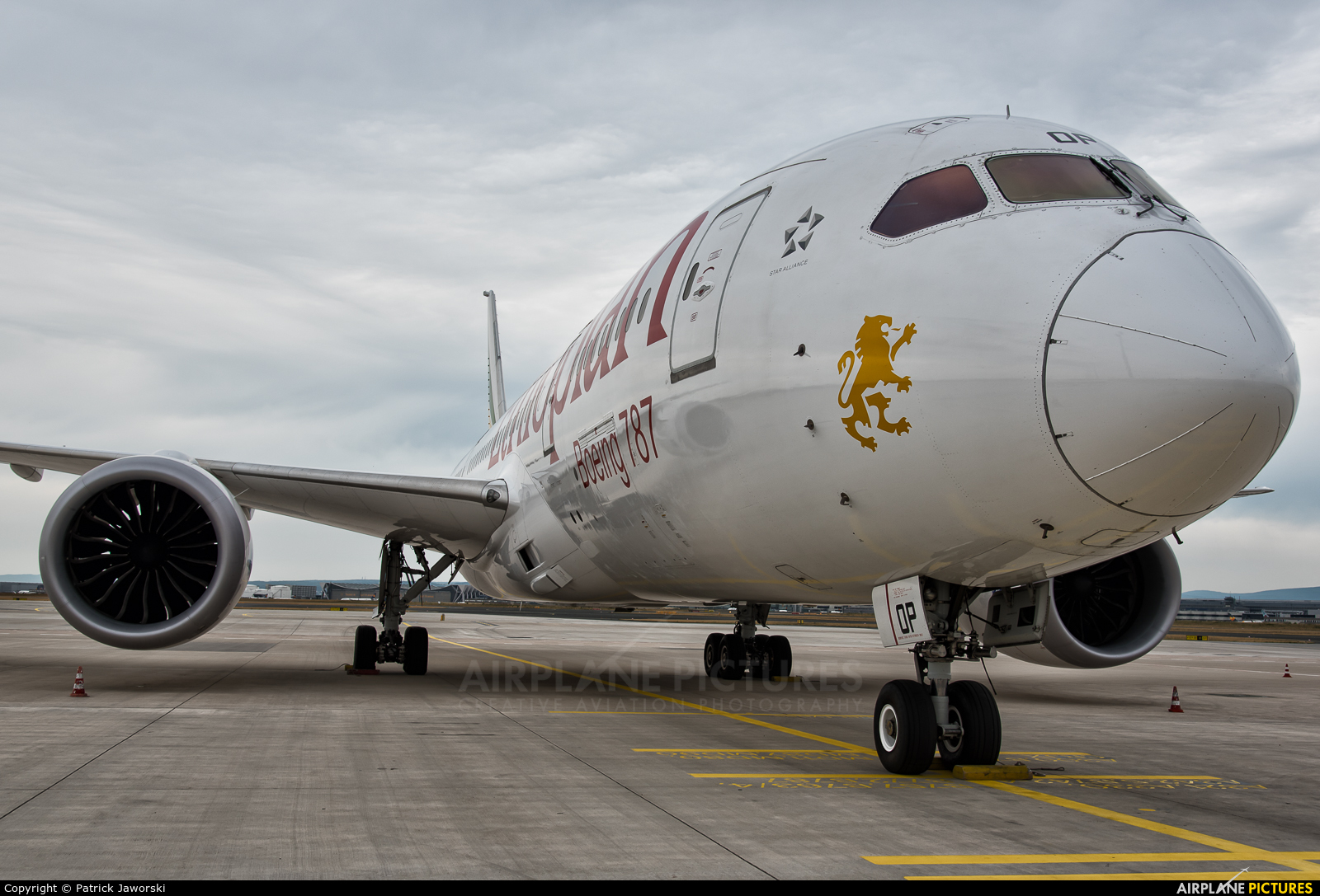 Ethiopian Airlines ET-AOP aircraft at Frankfurt