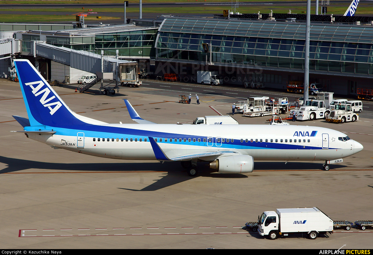 ANA - All Nippon Airways JA53AN aircraft at Tokyo - Haneda Intl