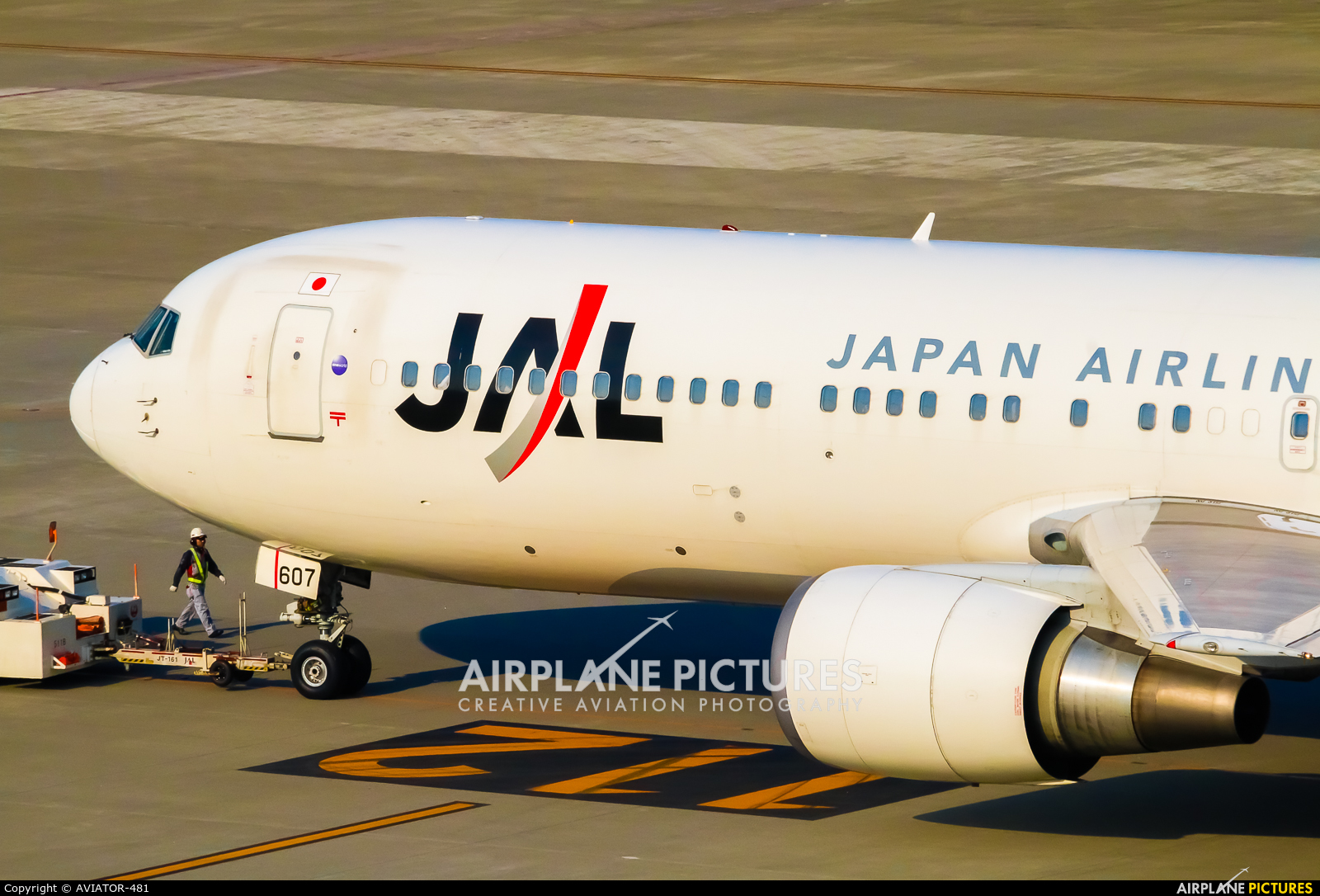 JAL - Japan Airlines JA607J aircraft at Tokyo - Haneda Intl