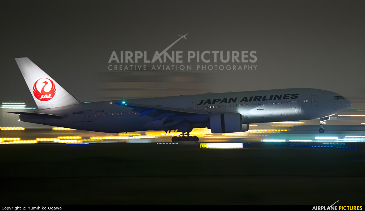 JAL - Japan Airlines JA008D aircraft at Tokyo - Haneda Intl