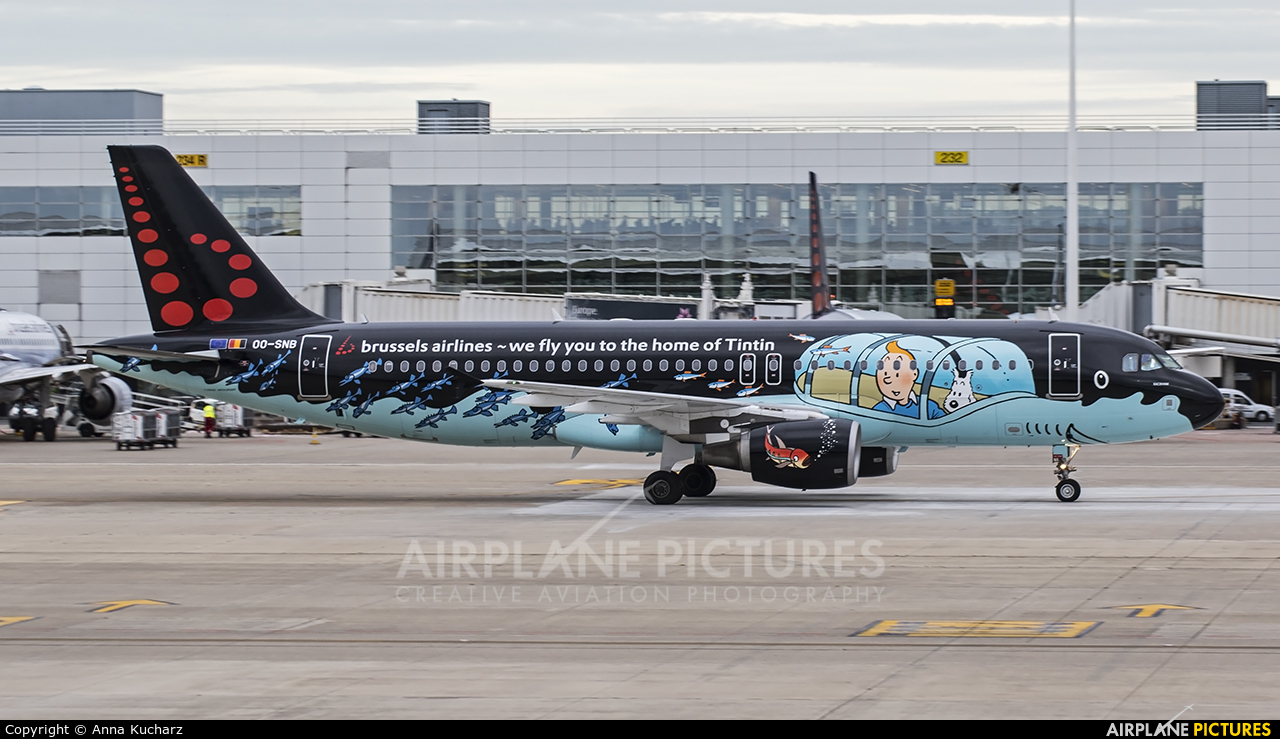 Brussels Airlines OO-SNB aircraft at Brussels - Zaventem