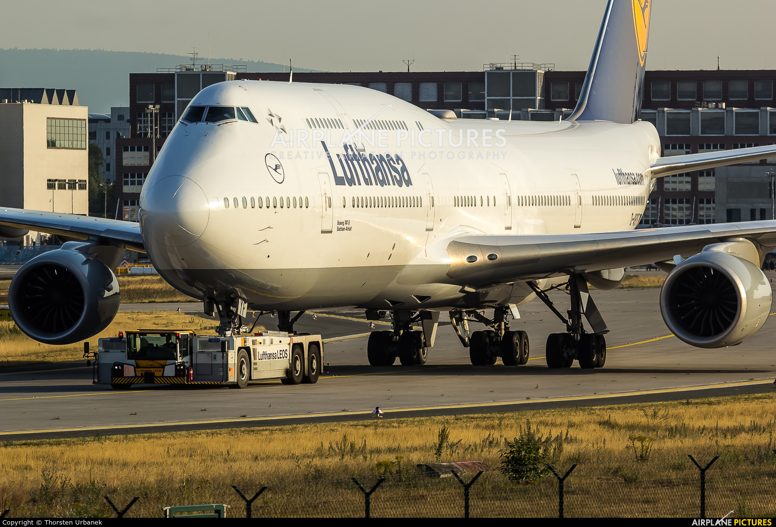 Lufthansa D-ABYF aircraft at Frankfurt