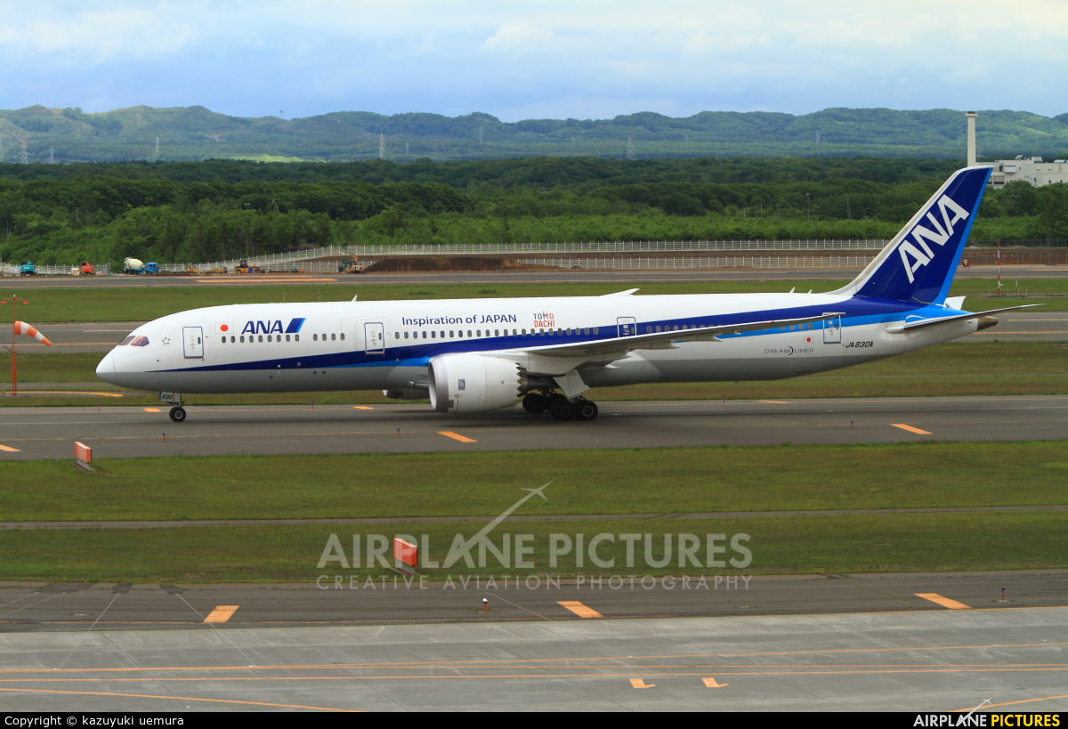 ANA - All Nippon Airways JA833A aircraft at New Chitose
