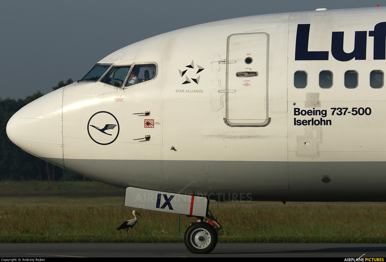 Lufthansa D-ABIX aircraft at Wrocław - Copernicus