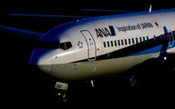 ANA - All Nippon Airways JA61AN image